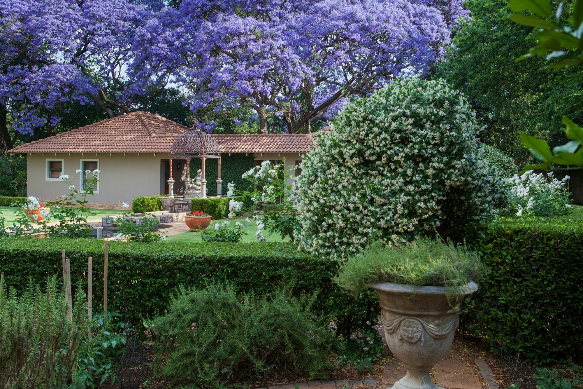 58 On Hume Bed & Breakfast Johannesburg Exterior foto
